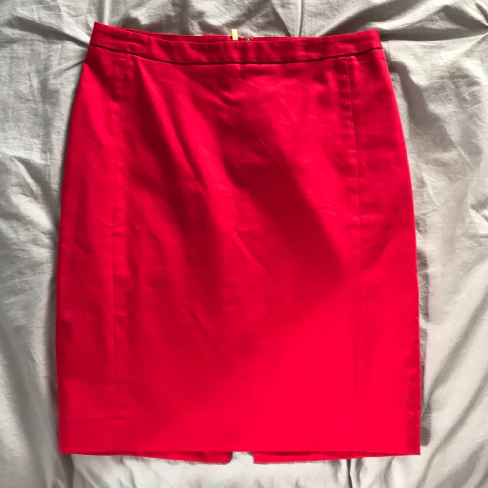 Express Pencil Skirt